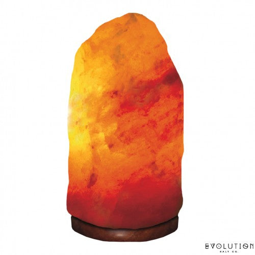 Evolution Natural Salt Lamp 3.5Kg-4.5kg